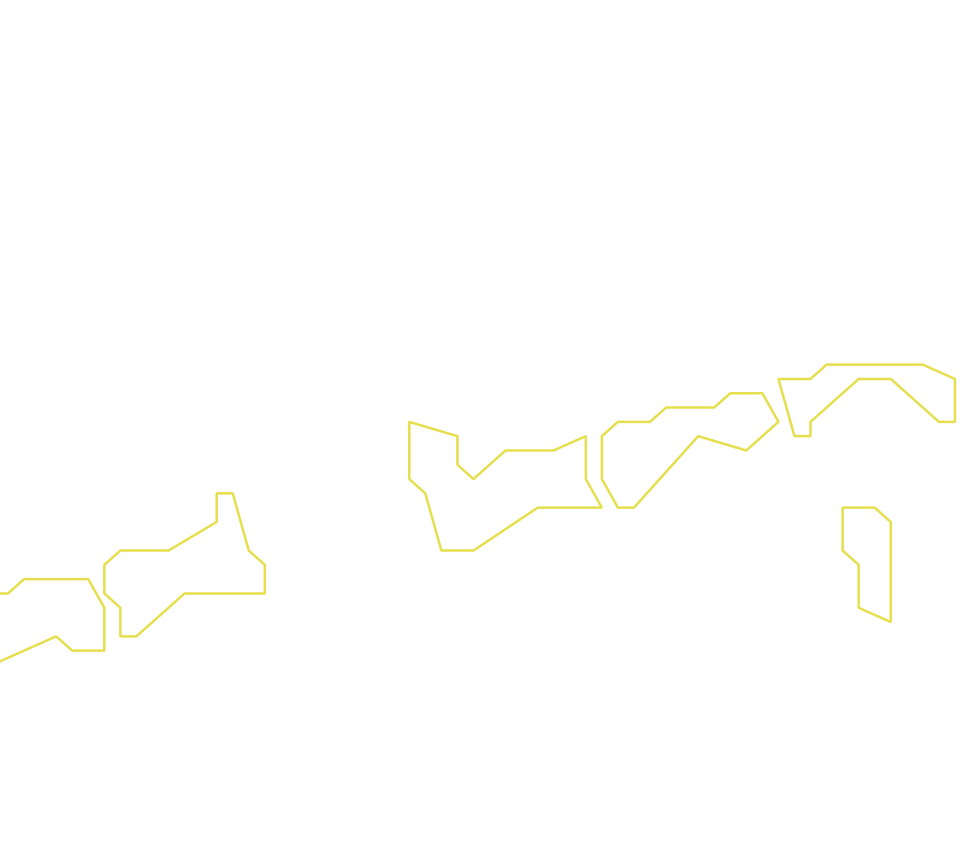 Daksegment ingezoomd met contourlijnen en structuurweergave