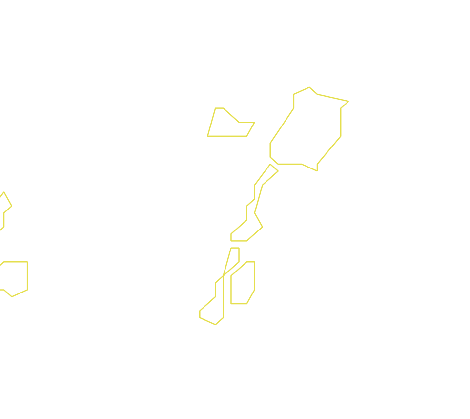 Daksegment ingezoomd met contourlijnen en structuurweergave
