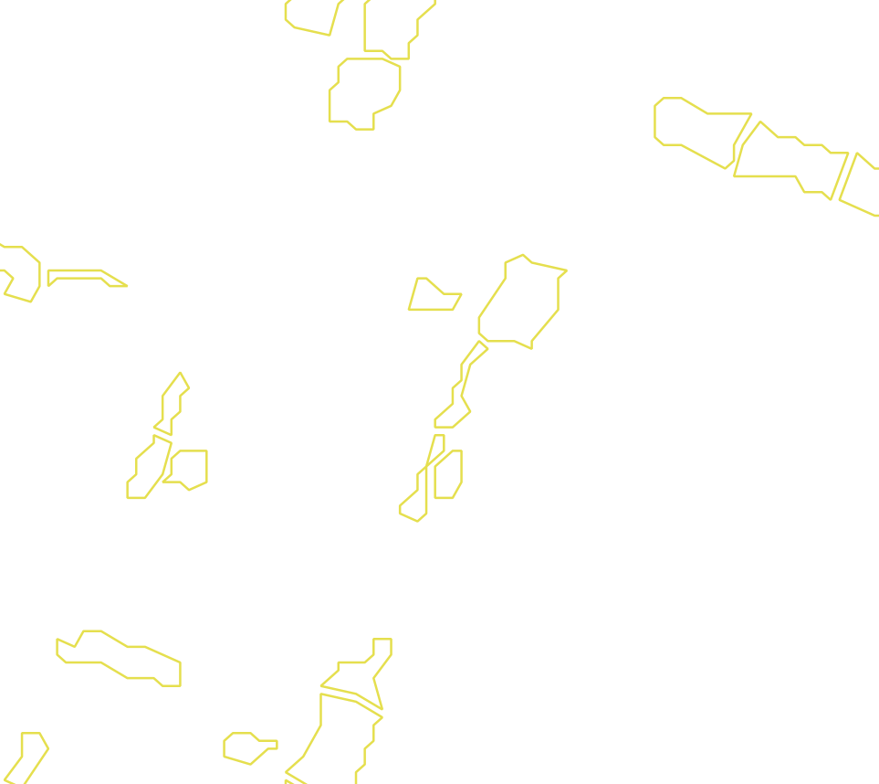 Daksegment met contourlijnen en structuurweergave