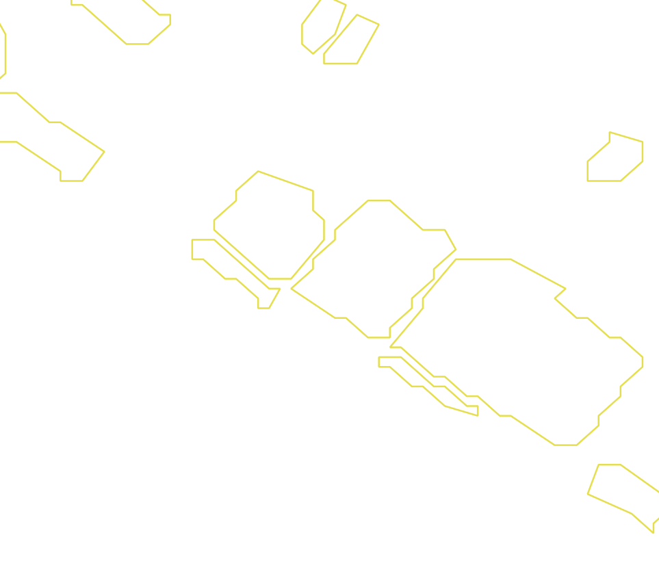 Daksegment ingezoomd met contourlijnen en structuurweergave