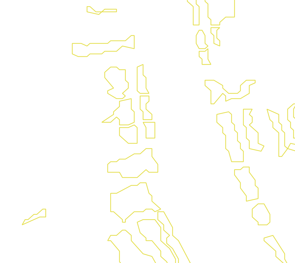 Daksegment met contourlijnen en structuurweergave