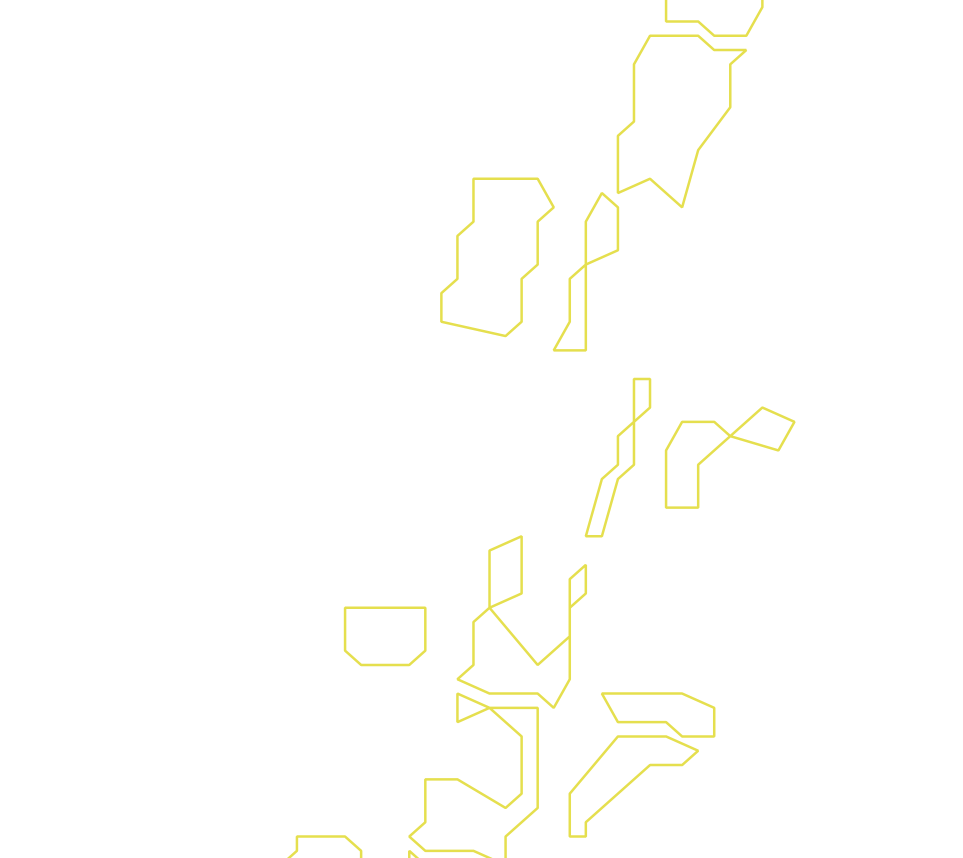 Daksegment ingezoomd met contourlijnen en structuurweergave