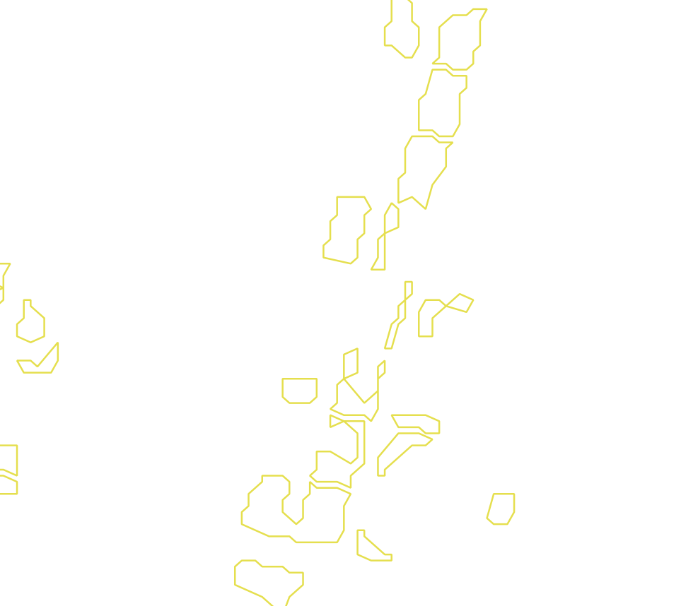 Daksegment met contourlijnen en structuurweergave