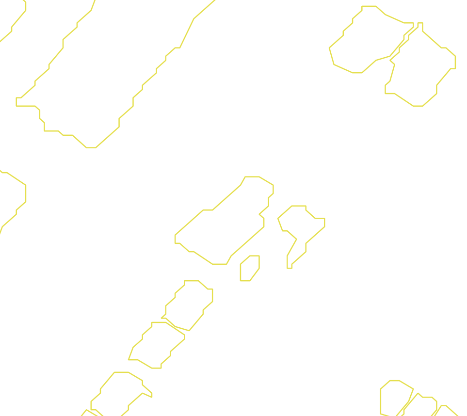 Daksegment met contourlijnen en structuurweergave