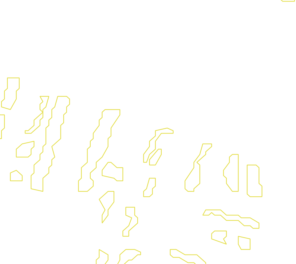 Daksegment met contourlijnen en structuurweergave
