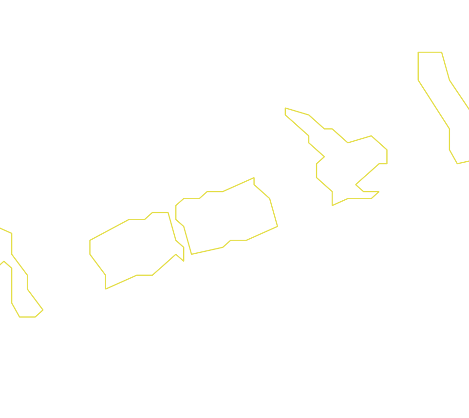 Daksegment ingezoomd met contourlijnen en structuurweergave