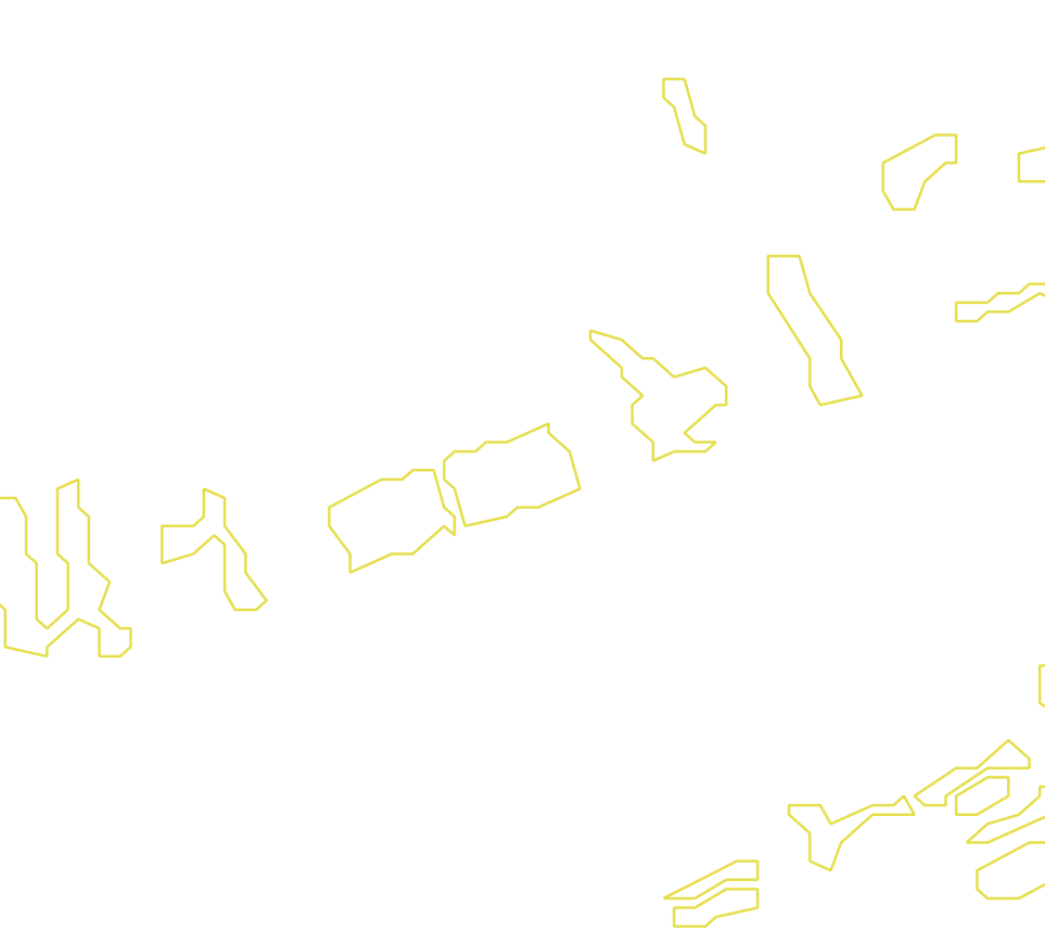 Daksegment met contourlijnen en structuurweergave