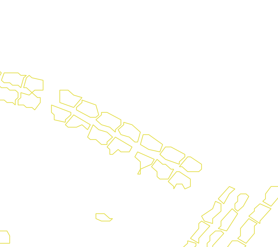 Daksegment met contourlijnen en structuurweergave