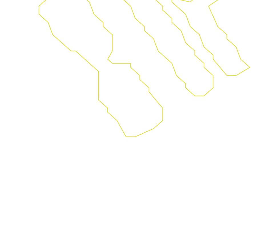 Daksegment ingezoomd met contourlijnen en structuurweergave