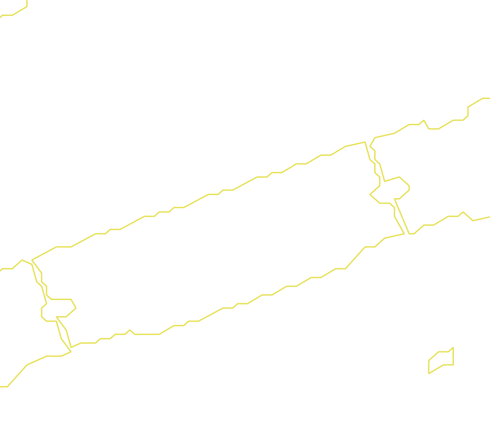 Daksegment met contourlijnen en structuurweergave