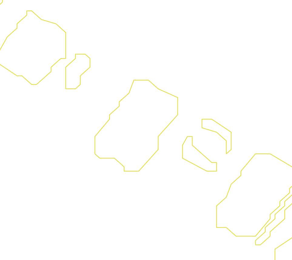 Daksegment ingezoomd met contourlijnen en structuurweergave