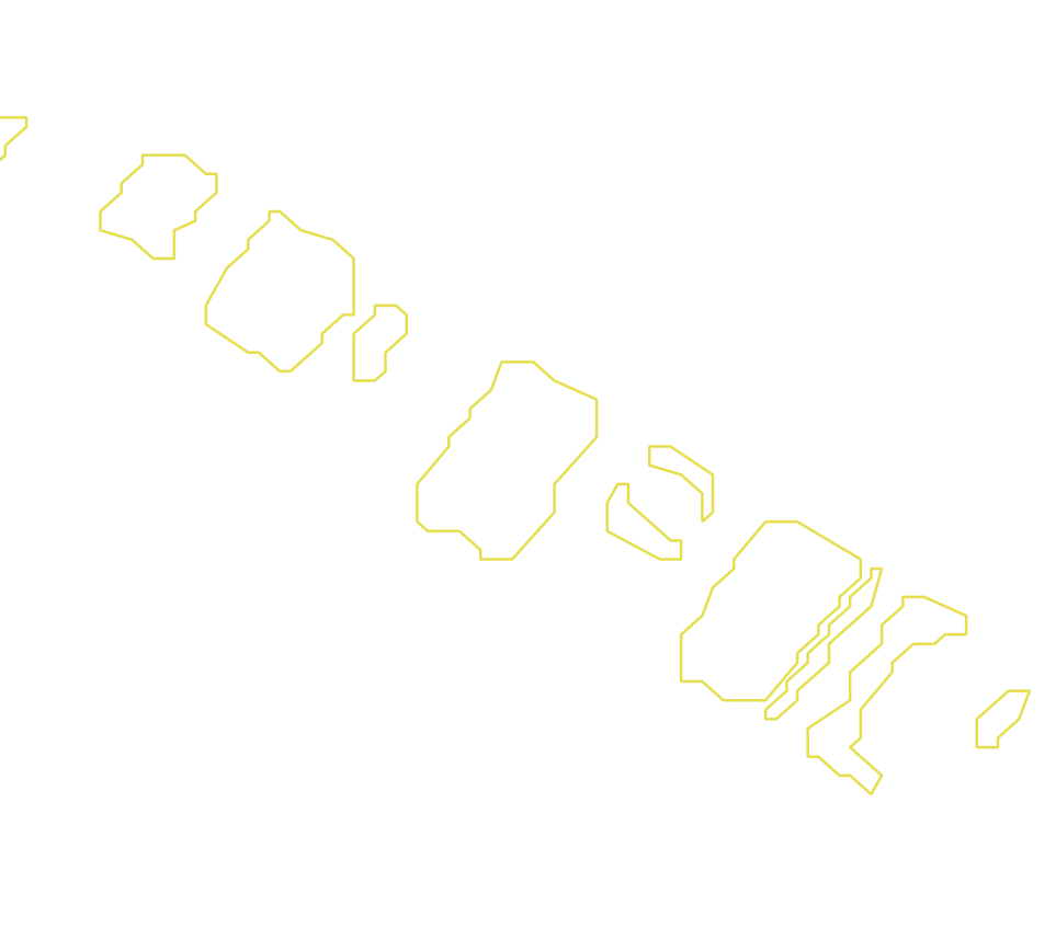 Daksegment met contourlijnen en structuurweergave