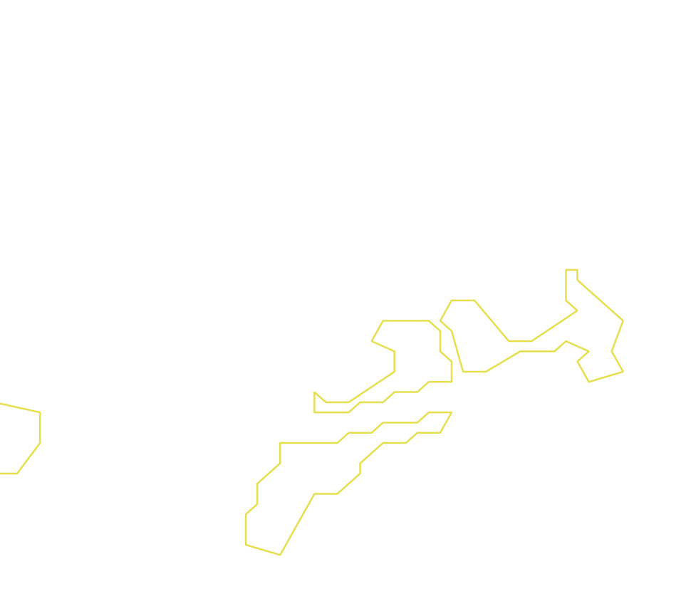 Daksegment ingezoomd met contourlijnen en structuurweergave