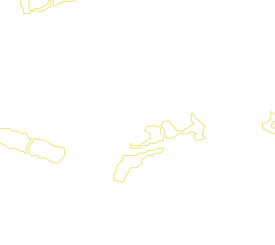Daksegment met contourlijnen en structuurweergave