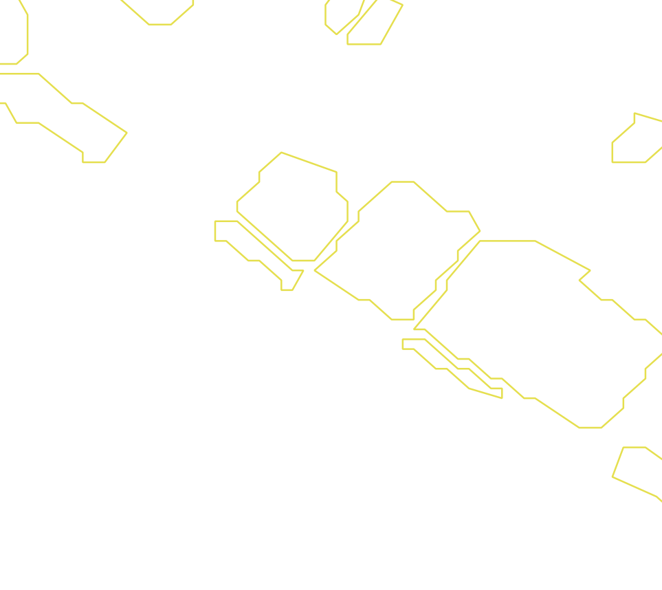 Daksegment ingezoomd met contourlijnen en structuurweergave