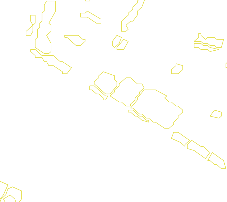 Daksegment met contourlijnen en structuurweergave