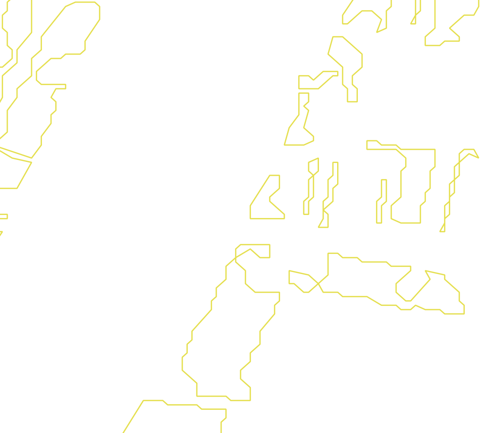 Daksegment met contourlijnen en structuurweergave