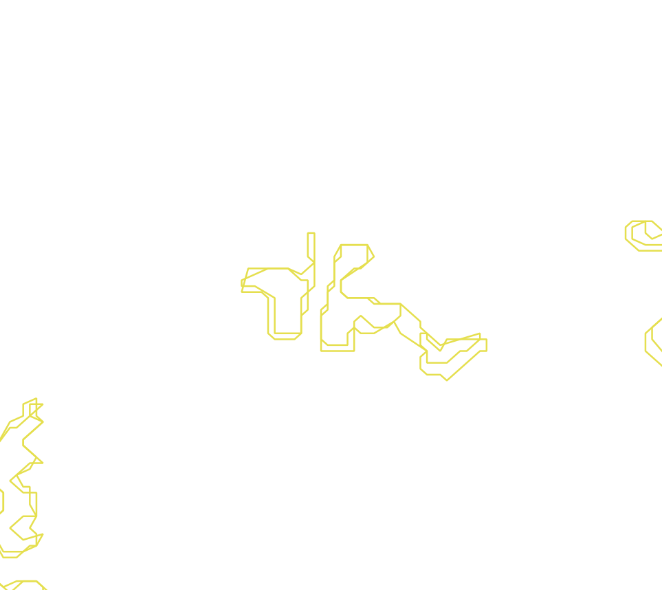 Daksegment met contourlijnen en structuurweergave