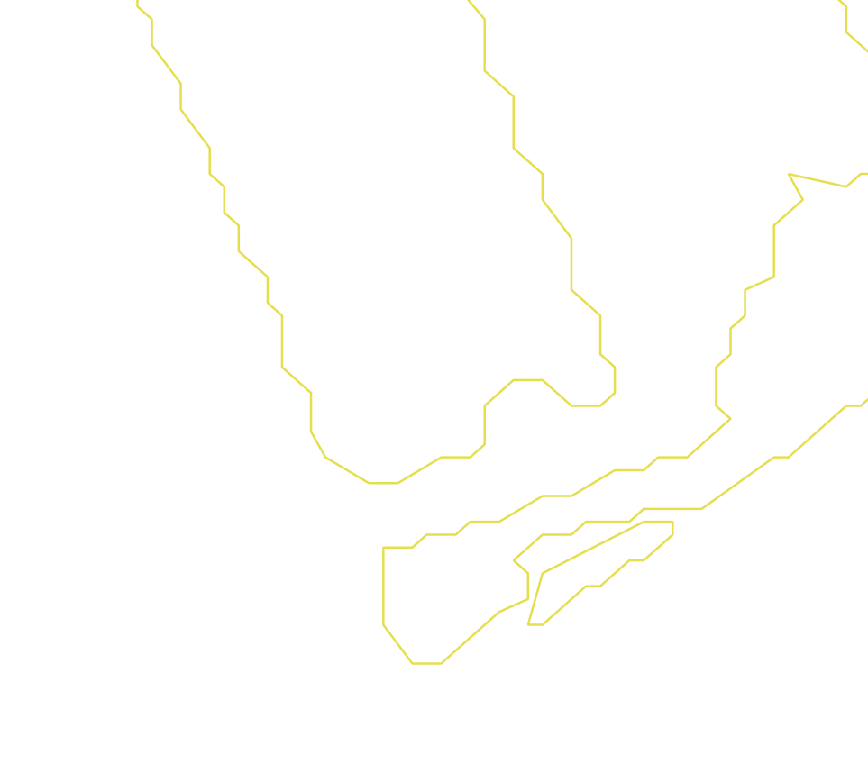 Daksegment ingezoomd met contourlijnen en structuurweergave