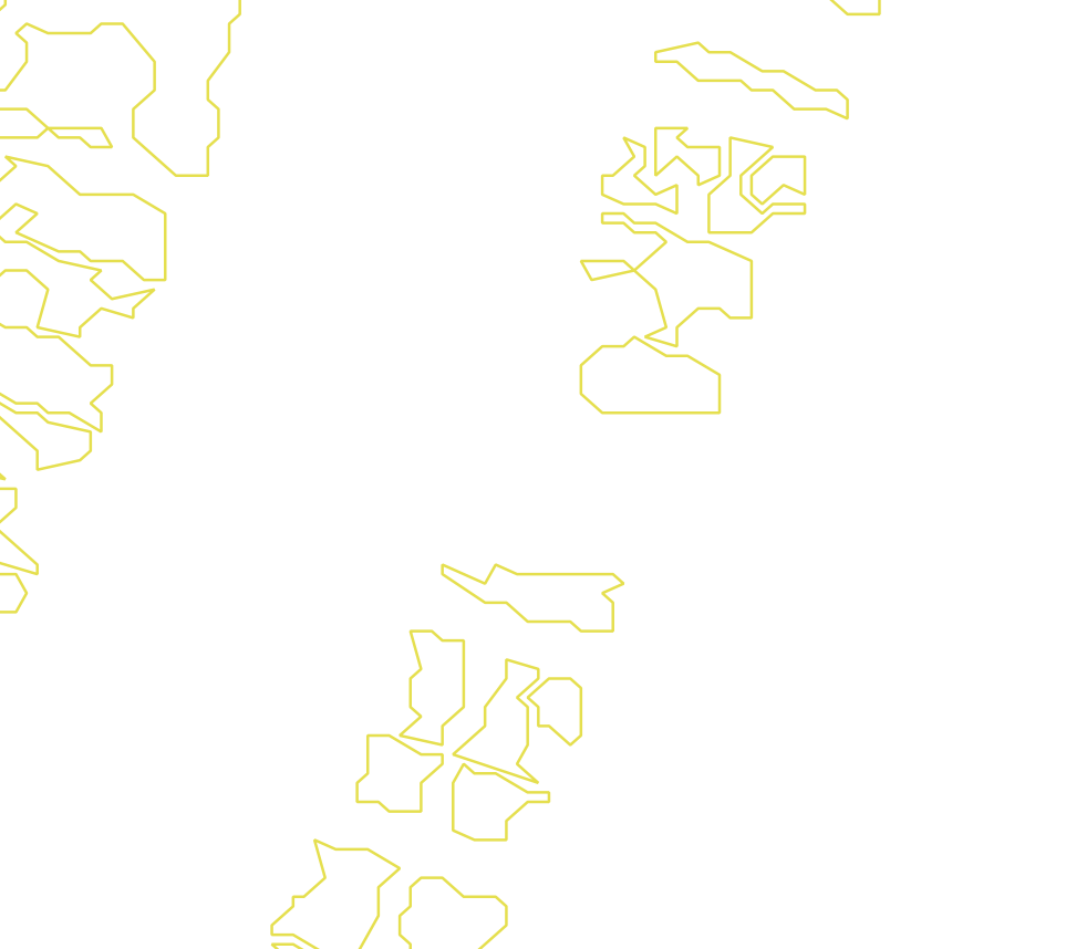 Daksegment met contourlijnen en structuurweergave
