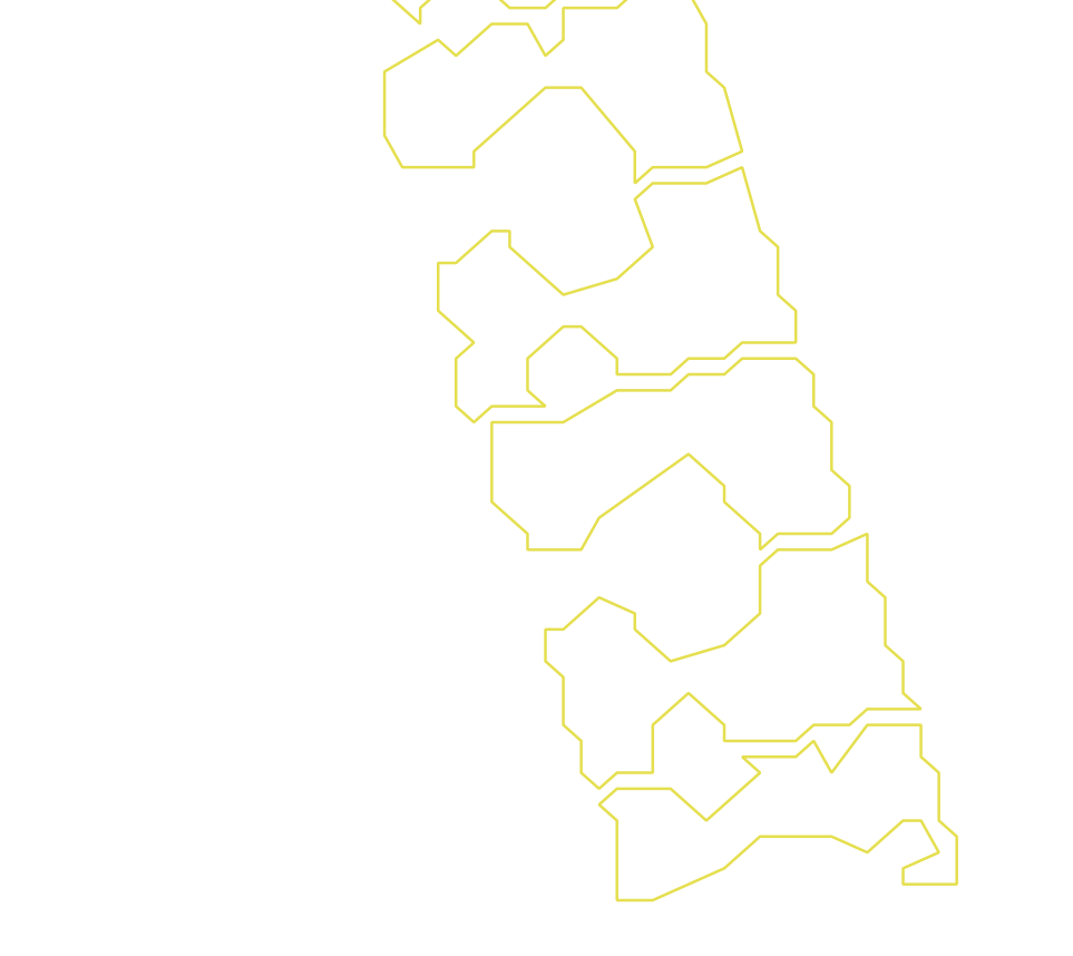 Daksegment ingezoomd met contourlijnen en structuurweergave