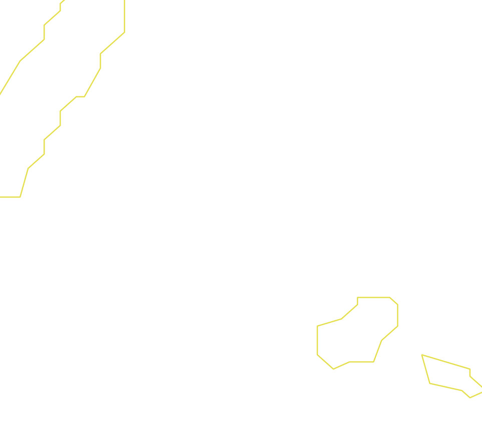 Daksegment ingezoomd met contourlijnen en structuurweergave