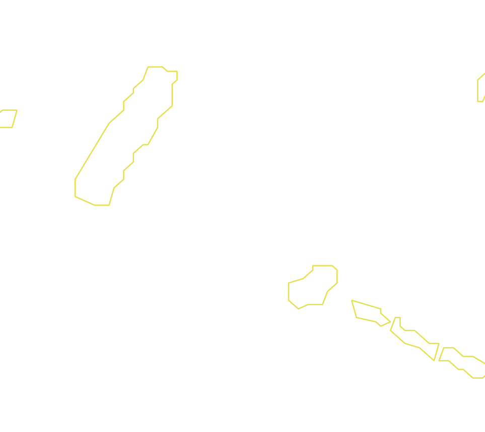 Daksegment met contourlijnen en structuurweergave