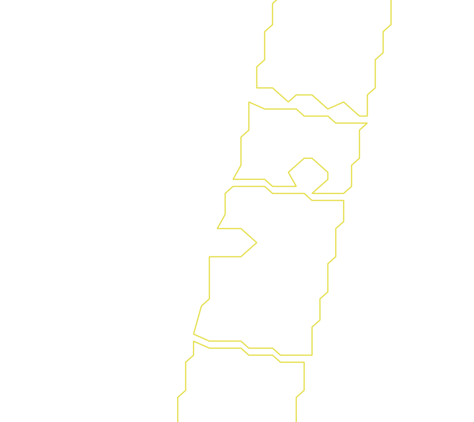 Daksegment ingezoomd met contourlijnen en structuurweergave