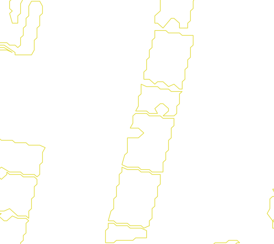 Daksegment met contourlijnen en structuurweergave