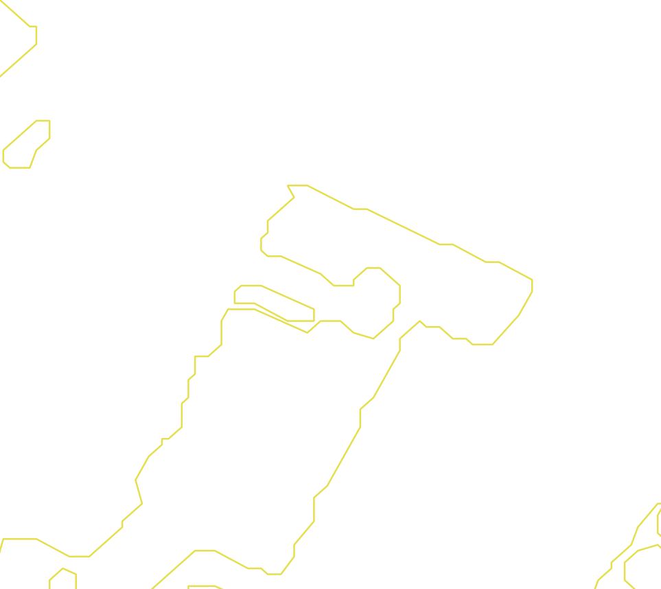 Daksegment met contourlijnen en structuurweergave