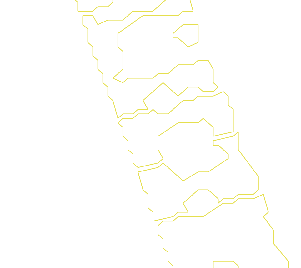 Daksegment ingezoomd met contourlijnen en structuurweergave