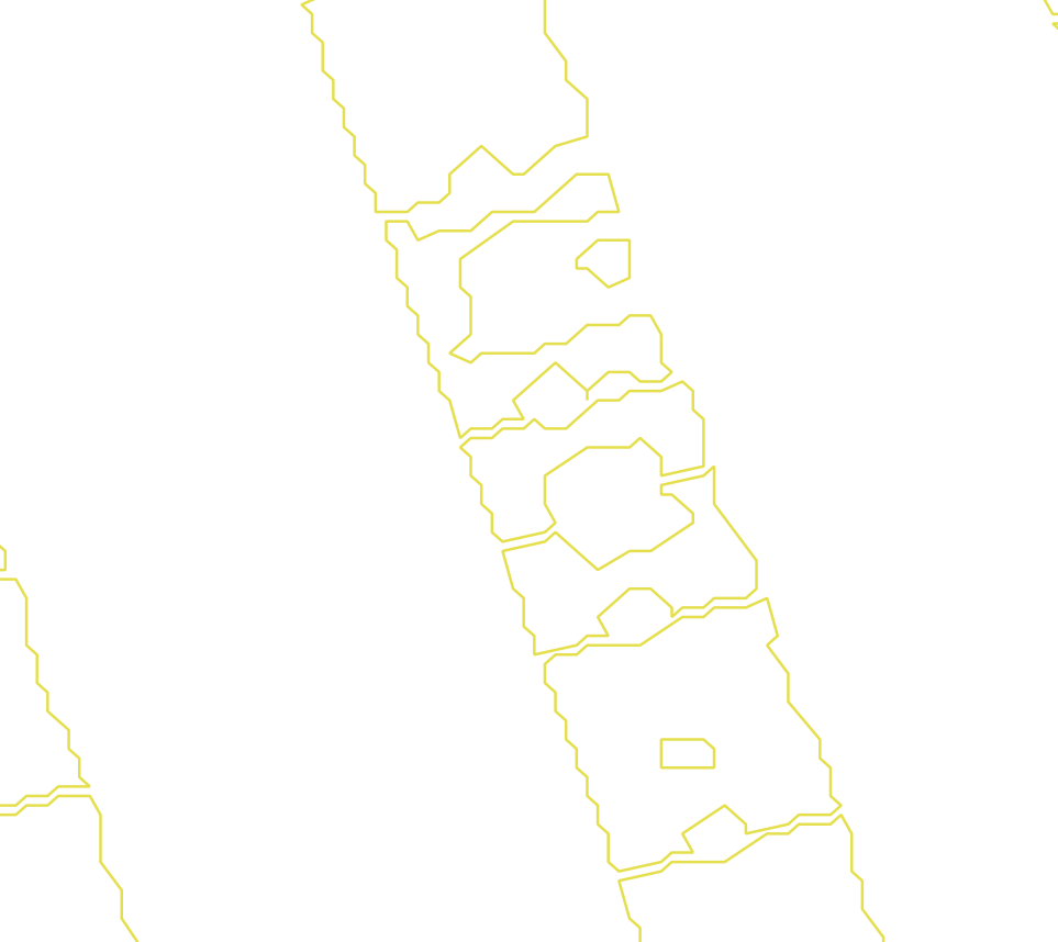 Daksegment met contourlijnen en structuurweergave