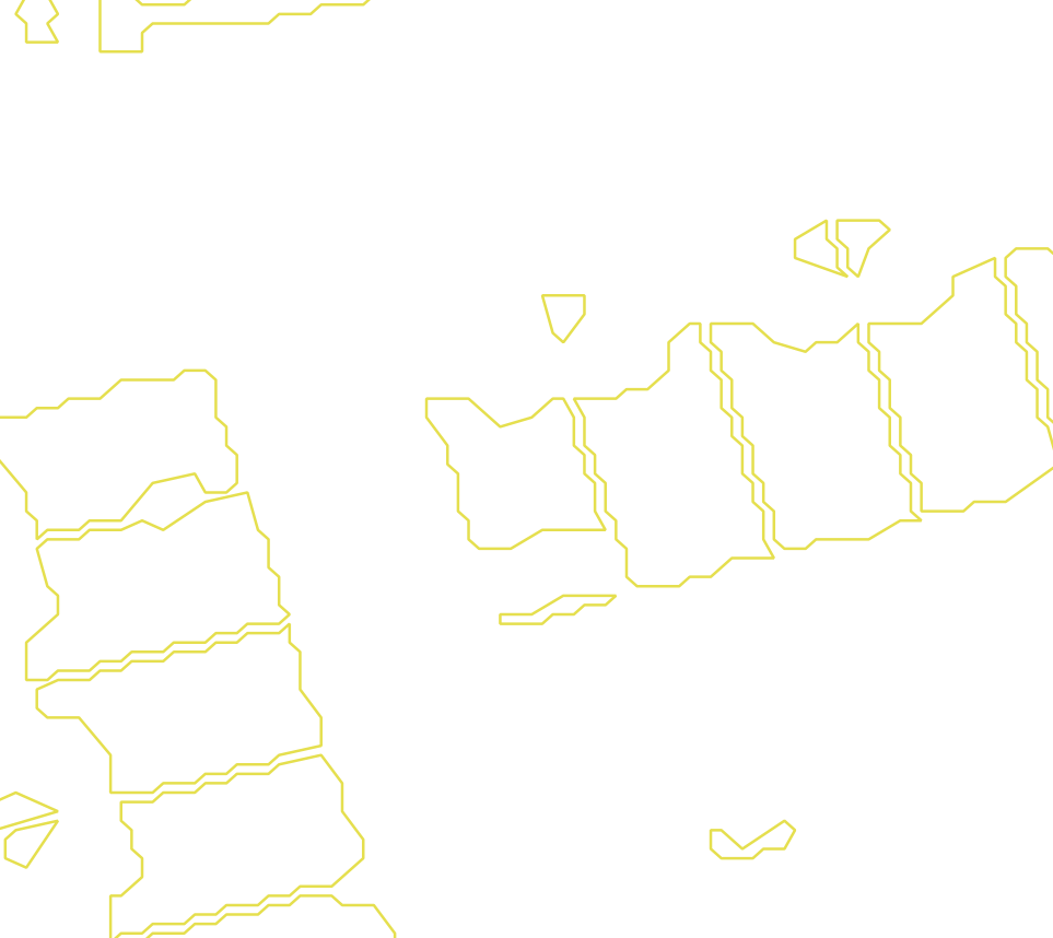 Daksegment met contourlijnen en structuurweergave