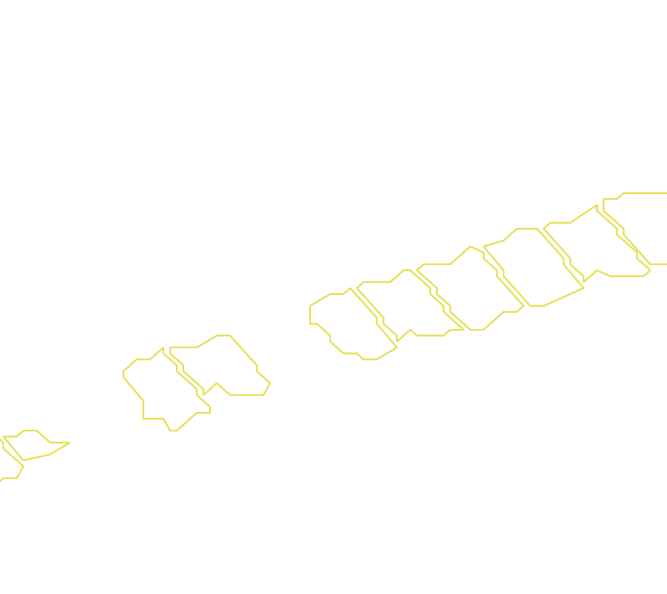 Daksegment met contourlijnen en structuurweergave