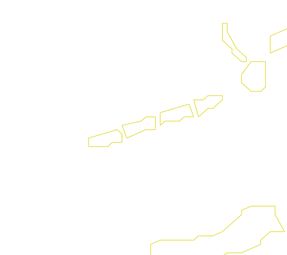 Daksegment ingezoomd met contourlijnen en structuurweergave
