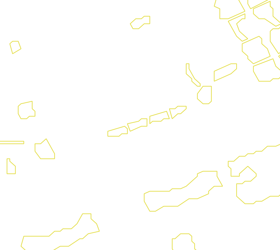 Daksegment met contourlijnen en structuurweergave
