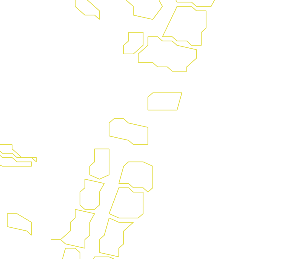Daksegment ingezoomd met contourlijnen en structuurweergave