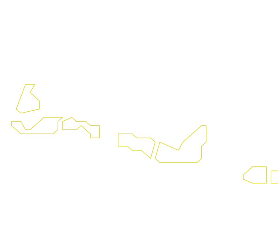Daksegment ingezoomd met contourlijnen en structuurweergave