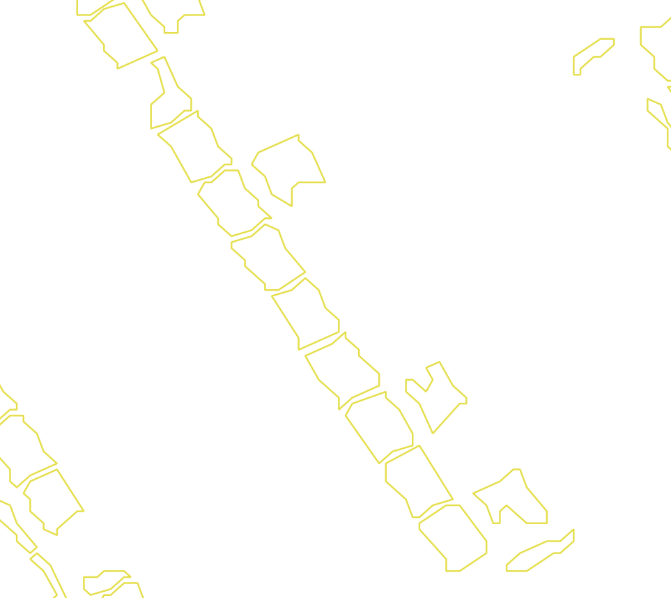 Daksegment met contourlijnen en structuurweergave