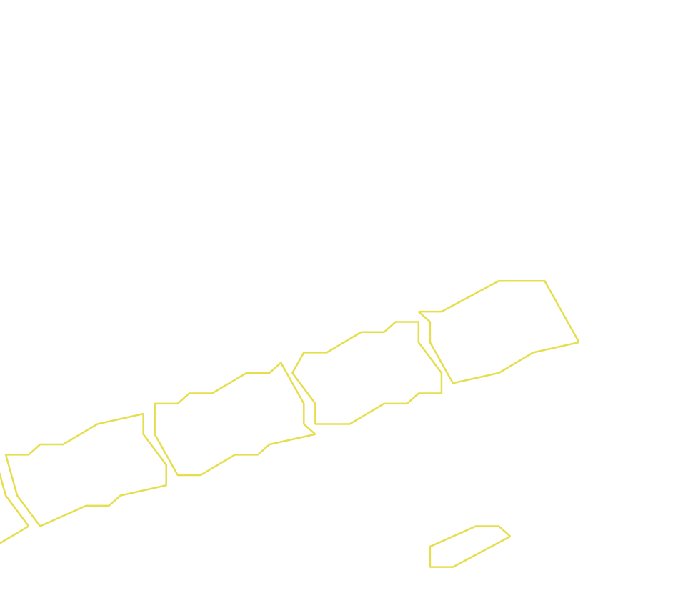 Daksegment ingezoomd met contourlijnen en structuurweergave