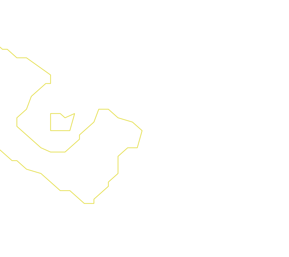 Daksegment ingezoomd met contourlijnen en structuurweergave