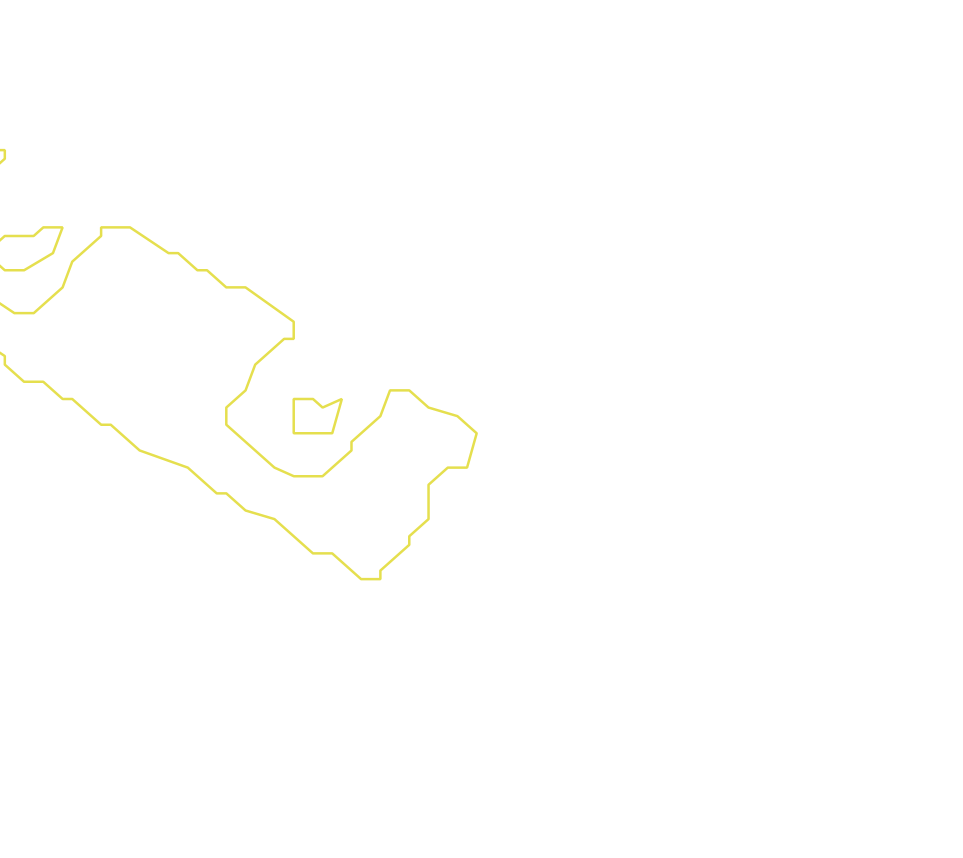 Daksegment met contourlijnen en structuurweergave