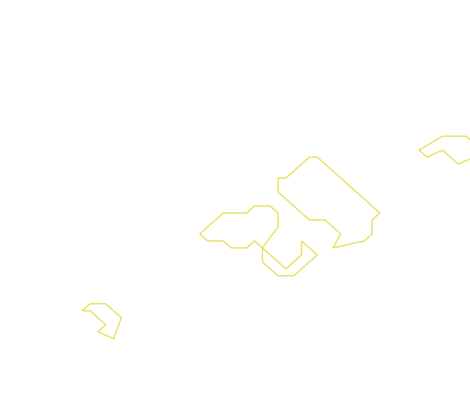 Daksegment ingezoomd met contourlijnen en structuurweergave