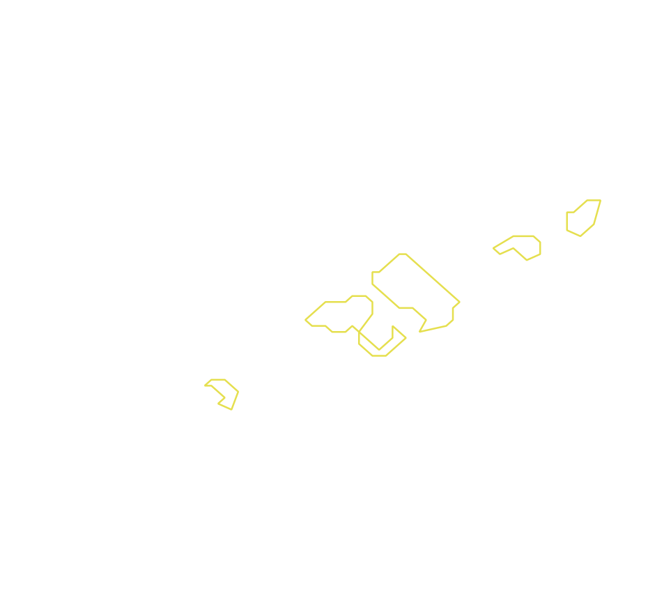 Daksegment met contourlijnen en structuurweergave