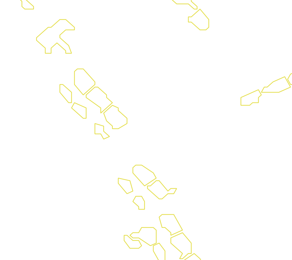 Daksegment met contourlijnen en structuurweergave