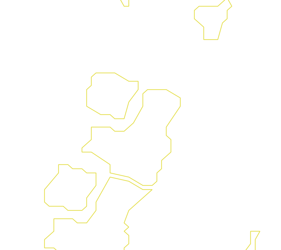 Daksegment ingezoomd met contourlijnen en structuurweergave