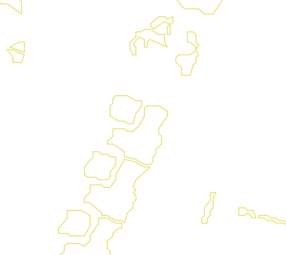 Daksegment met contourlijnen en structuurweergave