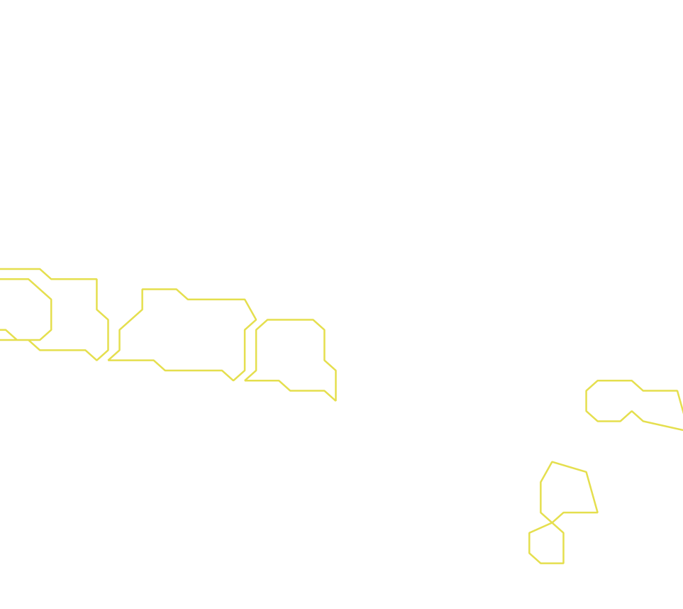 Daksegment ingezoomd met contourlijnen en structuurweergave