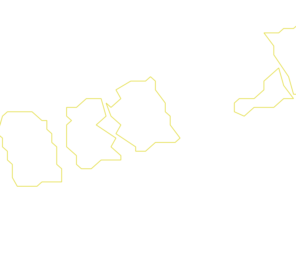 Daksegment ingezoomd met contourlijnen en structuurweergave