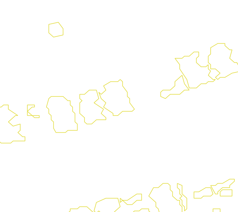 Daksegment met contourlijnen en structuurweergave